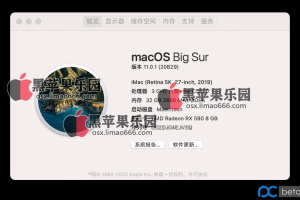 Big Sur 正式版 / OC 0.6.3 / 技嘉 B365M 小雕 / i7 9700 / rx590 / BCM94352Z