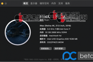 Intel i7 8700+华硕TUF B360m bigsur 11.0.1 open core0.6.3 EFI分享