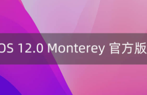 macOS 12.0 Monterey 官方镜像(21A5506j)开发者预览版Dev Beta 6