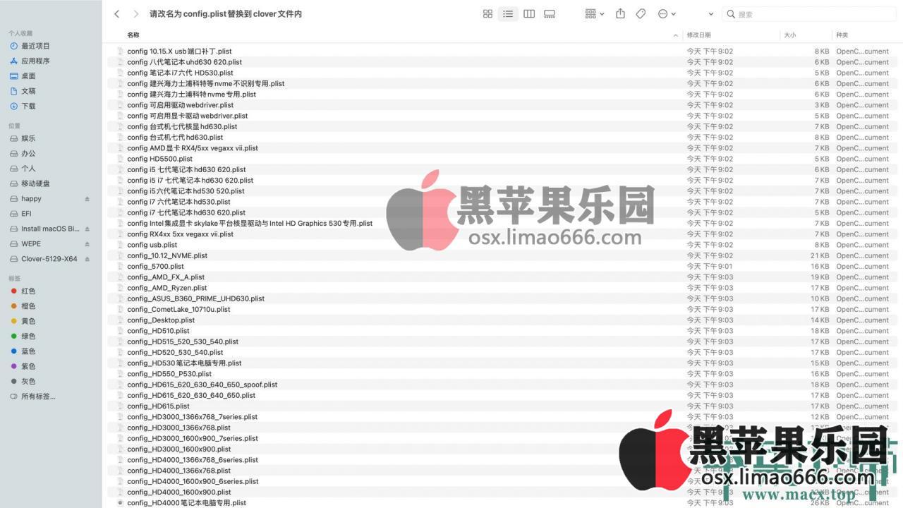 MacOS Big Sur 11.4 (20F71) with Clover 5135 and OC 0.7.0 and PE 三EFI分区原版DMG黑苹果镜像