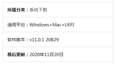 黑苹果MacOS Big Sur 11.0.1 20B29 原版 OpenCore 6.3 安装镜像